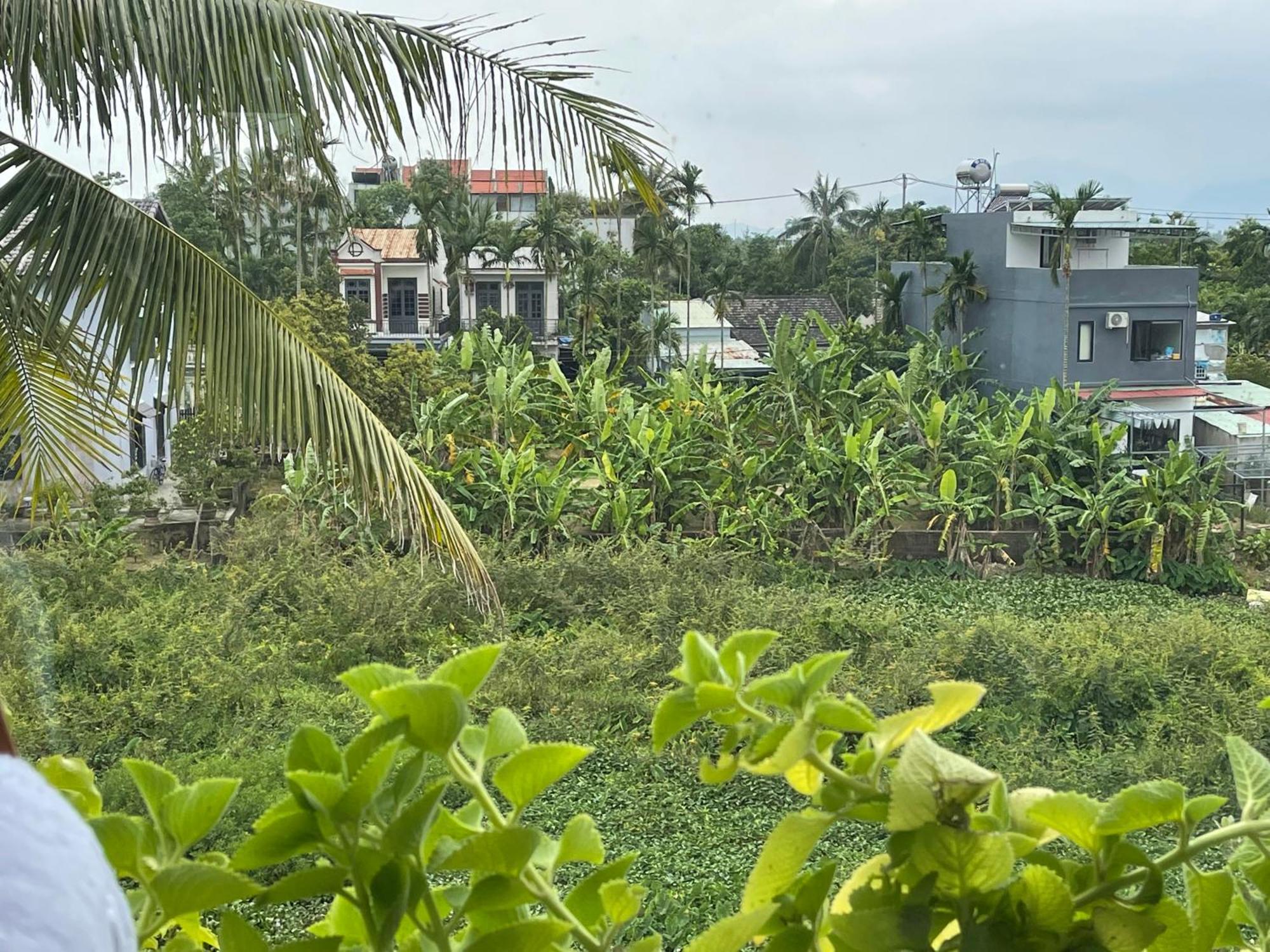 Hoi An Ti Hon House Exterior foto